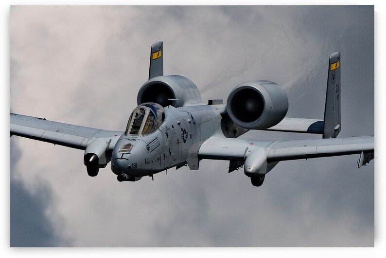 Fairchild Republic A-10 Warthog by Pisarek Photography