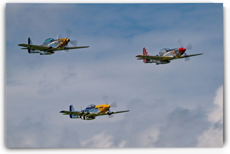 Flight Demonstration Team - Jack Aces by Pisarek Photography