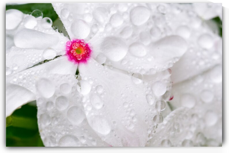 After The Storm by Pisarek Photography