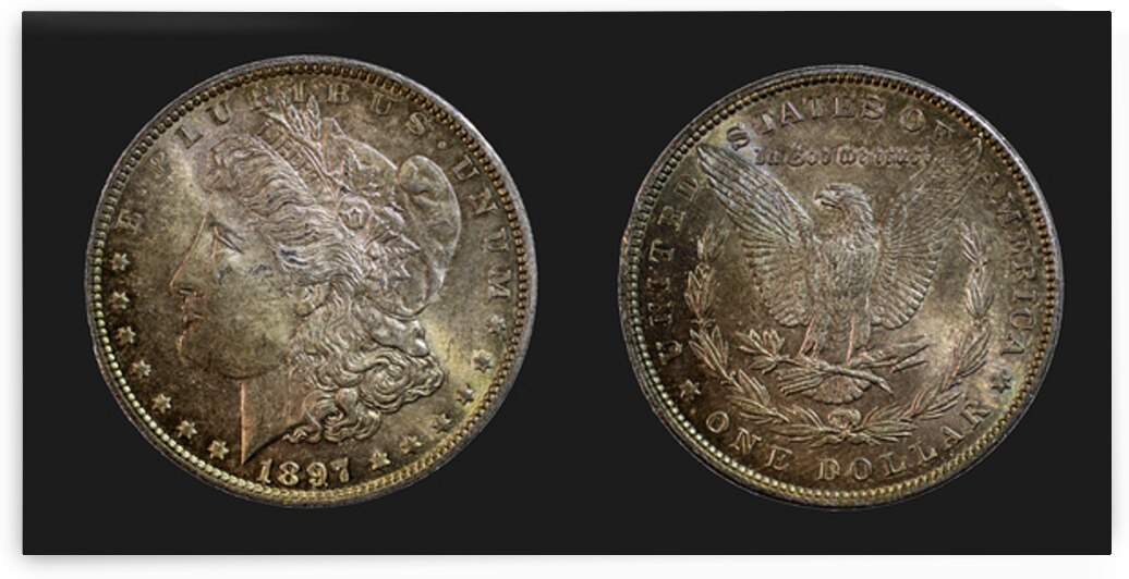 1897 United States Morgan Silver Dollar by Pisarek Photography