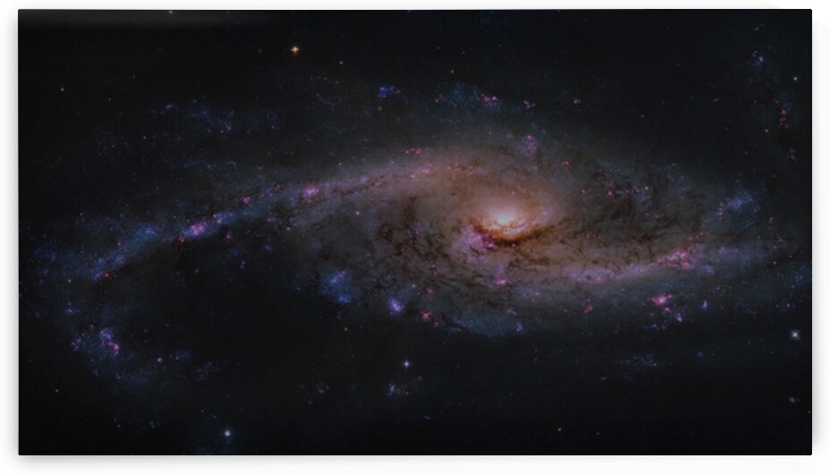 NGC 4536 – Spectacular Starburst Spiral in the constellation Virgo by Pisarek Photography