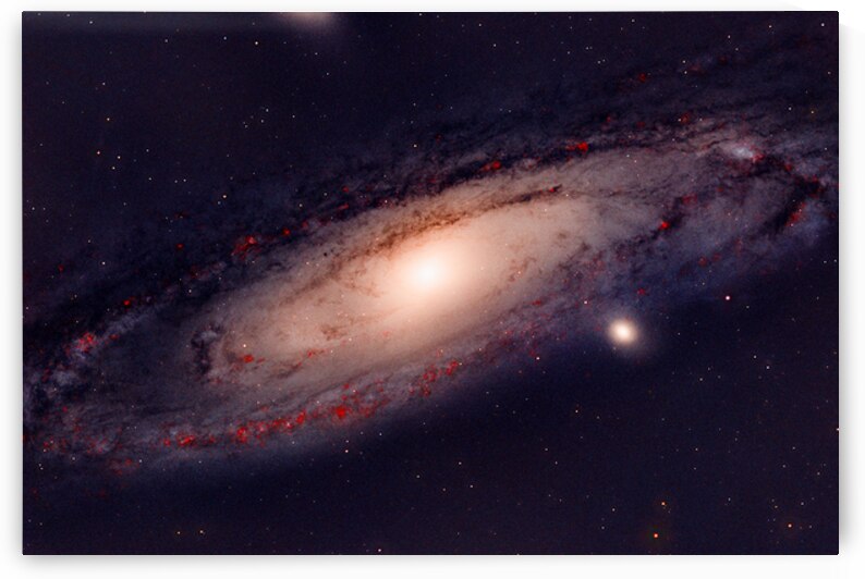 M31 -  Andromeda Galaxy by Pisarek Photography