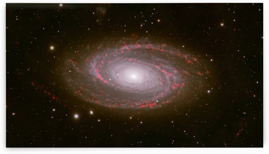 M81 Bode Galaxy by Pisarek Photography