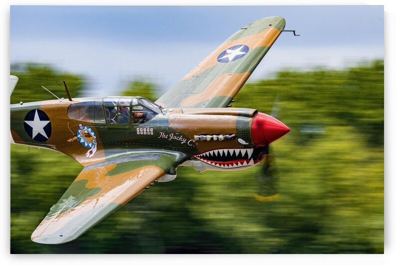 Curtiss P-40 WarHawk High Speed Pass by Pisarek Photography