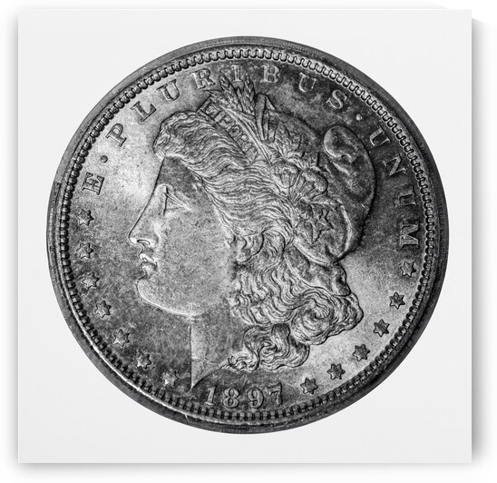 1897 Morgan Silver Dollar by Pisarek Photography