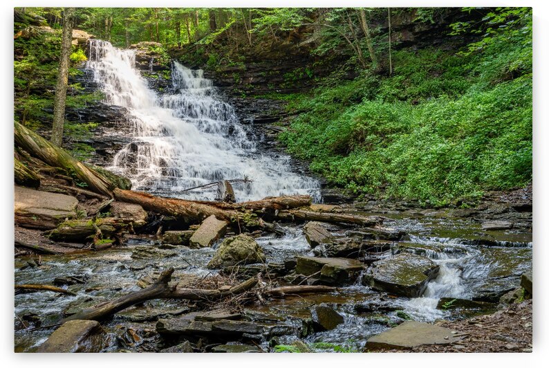 Waterfall in the Deep Forest by Pisarek Photography