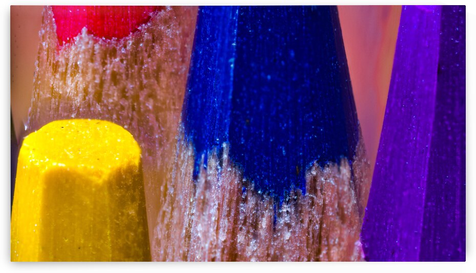 Color Pencils by Pisarek Photography