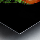 Tomato and Reflection Metal print