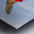 Curtiss P-40 Warhawk Metal print