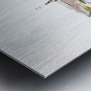 Dirty Martini Metal print