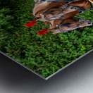 Horse and Carriage on Mackinac Island Metal print