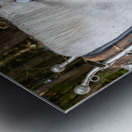 A pair of White Horses Metal print