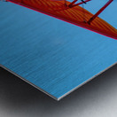 Flying Circus Metal print