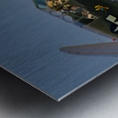 Curtiss P-40 Warhawk - American Dream Metal print