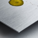 Martini and Limes Metal print