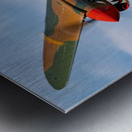 Curtiss P-40 Warhawk Low Altitude High Speed Pass Metal print