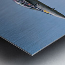 US Navy F18 Super Hornet of VFA-106 The Gladiators Metal print