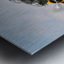 North American Aviation B-25 Mitchell - Champaign Gal Metal print