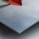 Curtiss P-40 WarHawk Metal print