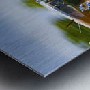 Curtiss P-40 WarHawk High Speed Pass Metal print