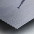 McDonnell Douglas USAF F-15 Eagle Metal print