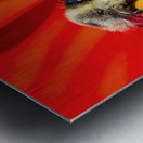 Busy Bees Metal print