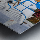 1904 Royal Motor Company Tourist Metal print