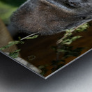 Gorilla Deep in Thought Metal print