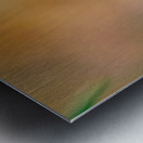 Hornet Collecting Bark for a Nest Metal print