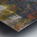 An autumn morning at the lake Metal print