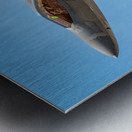 Lockheed Martin F-22  Metal print