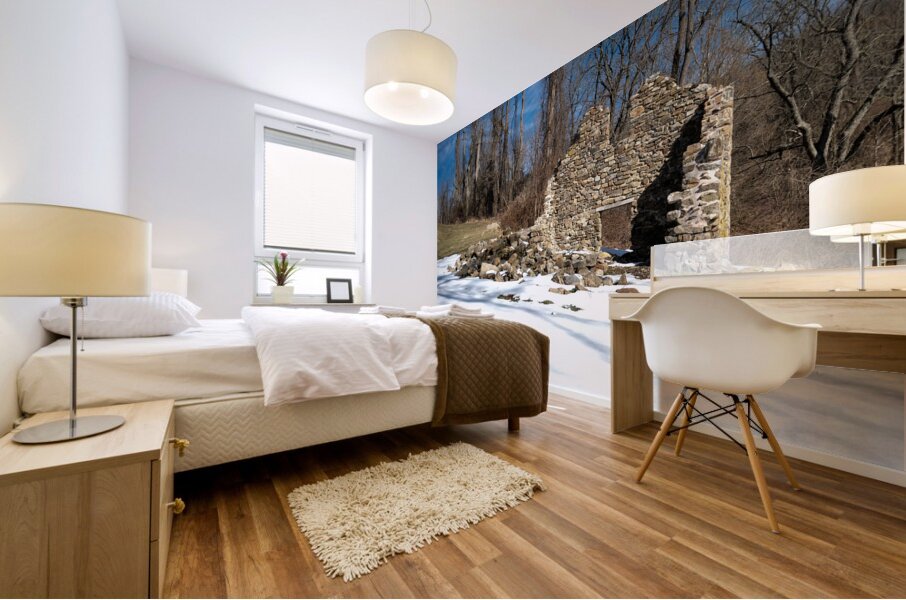 Ruins of Warwick Iron Furnace Mural print