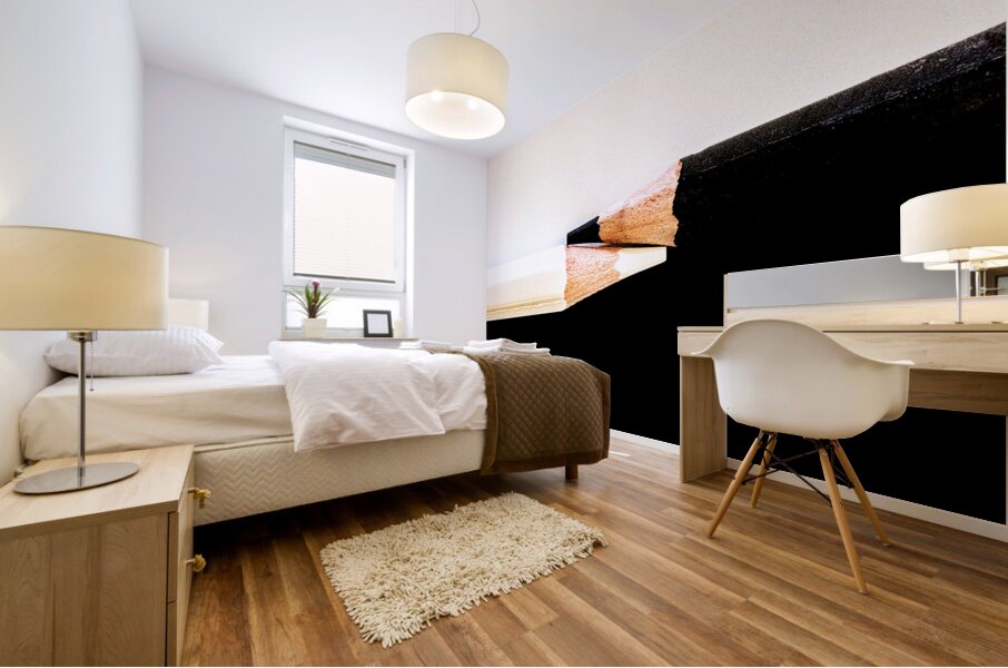 Black and White Mural print