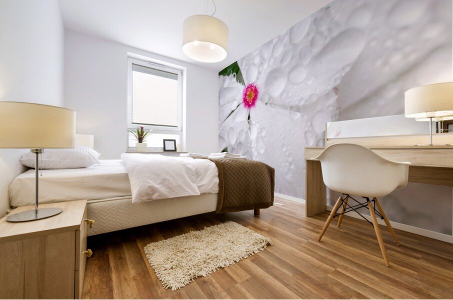 After The Storm Mural print