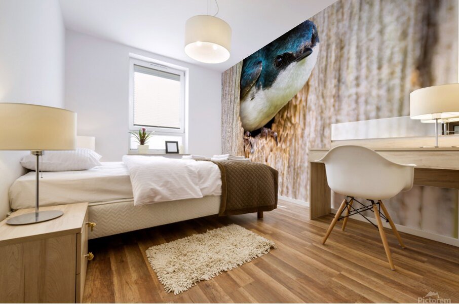 Hello There Mural print