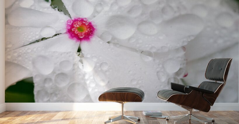 After The Storm Wall Murals