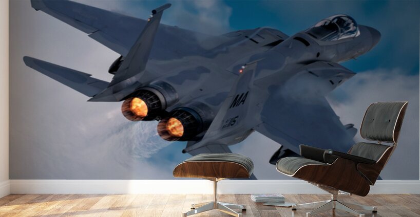McDonnell Douglas F-15 Eagle  - Afterburner Wall Murals