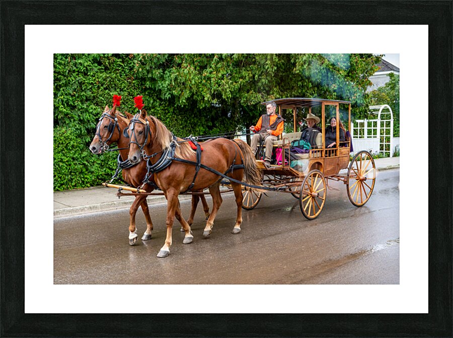 Horse and Carriage on Mackinac Island Picture Frame print