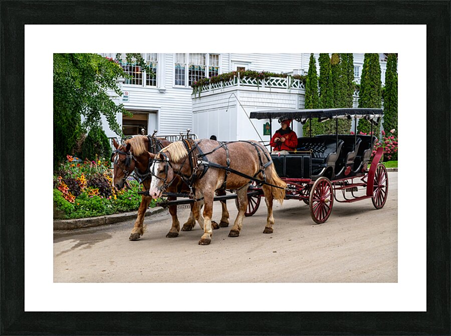 Horse and Carriage near The Grand Hotel Picture Frame print