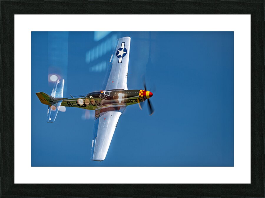 P-51D Mustang - Swamp Fox Picture Frame print