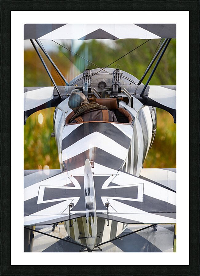 German Fokker Dr.1 Triplane Picture Frame print