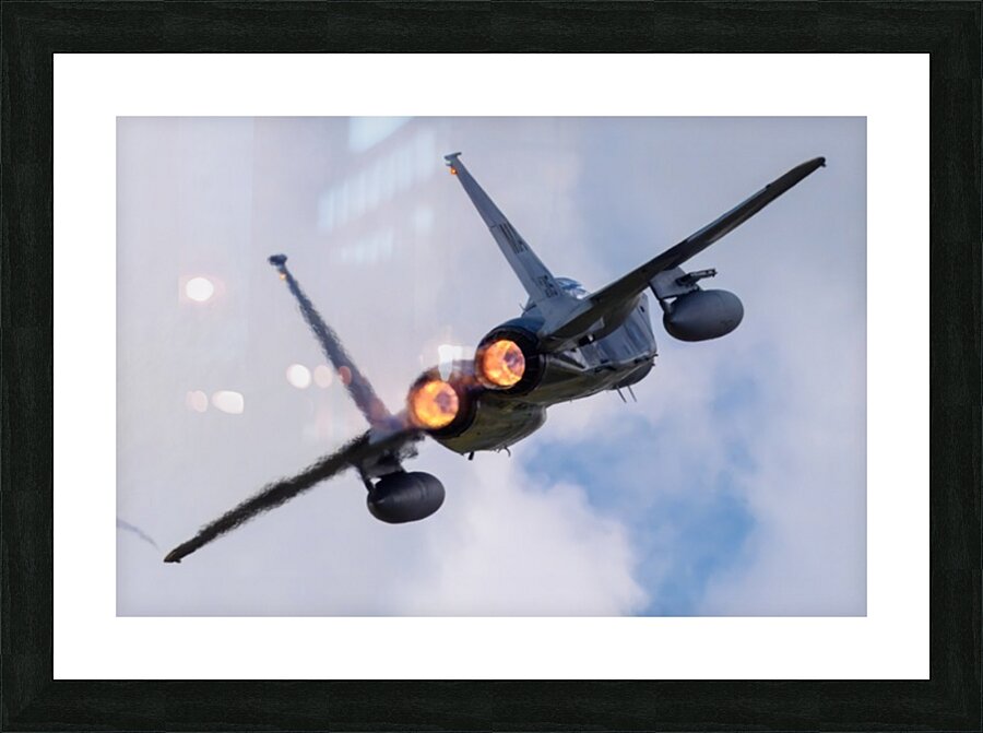 McDonnell Douglas USAF F-15 Eagle Picture Frame print