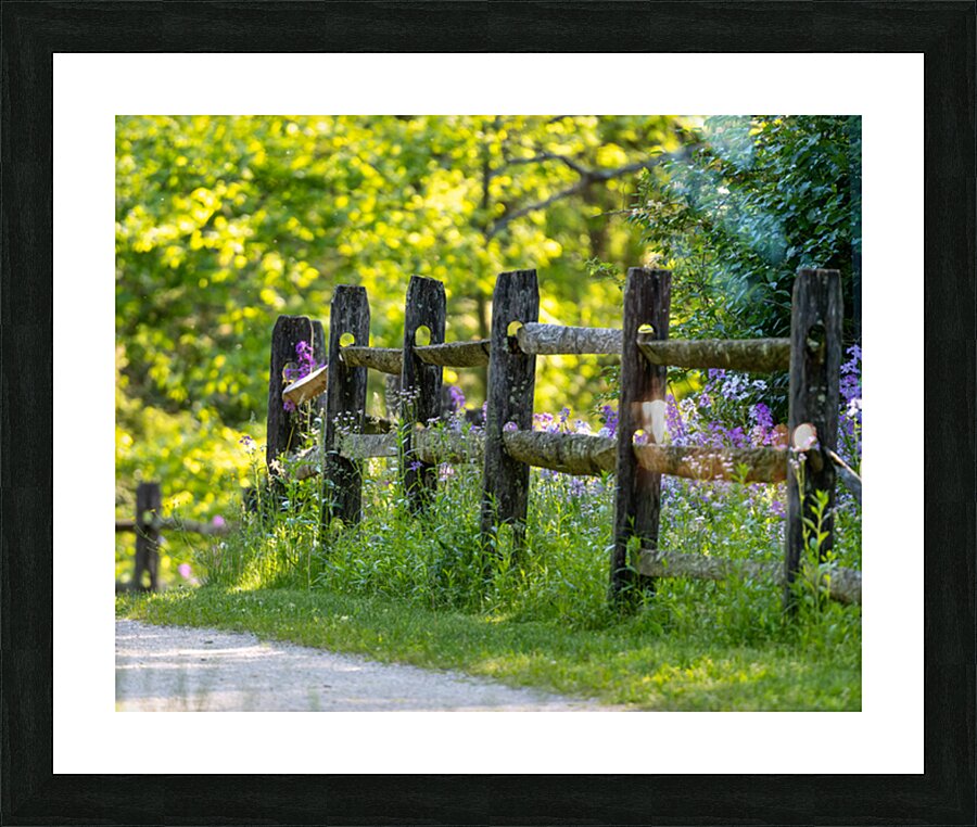 Fence and Flowers Picture Frame print