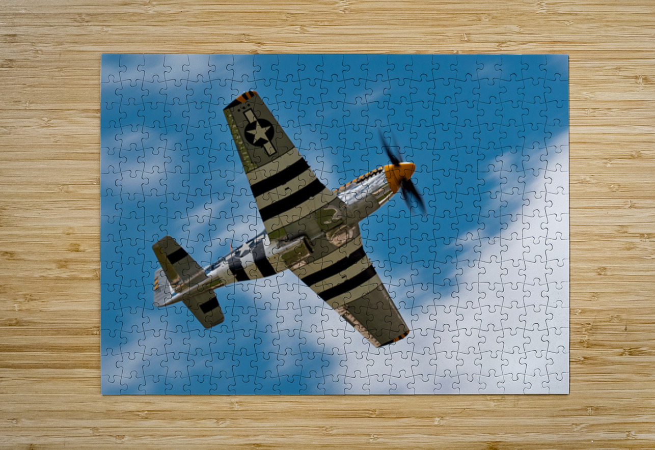 North American Aviation P-51 Mustang Bald Eagle Pisarek Photography Puzzle printing