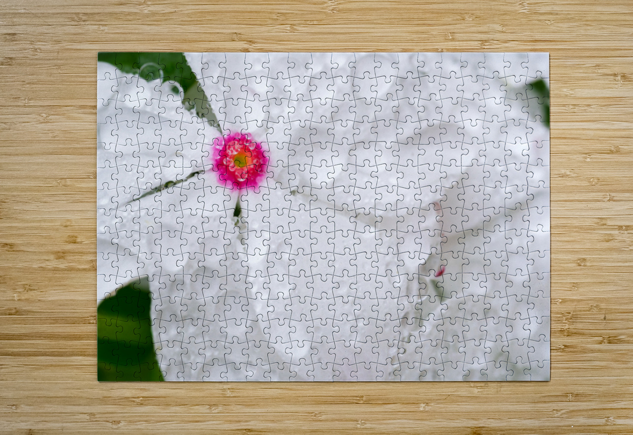 After The Storm Pisarek Photography Puzzle printing