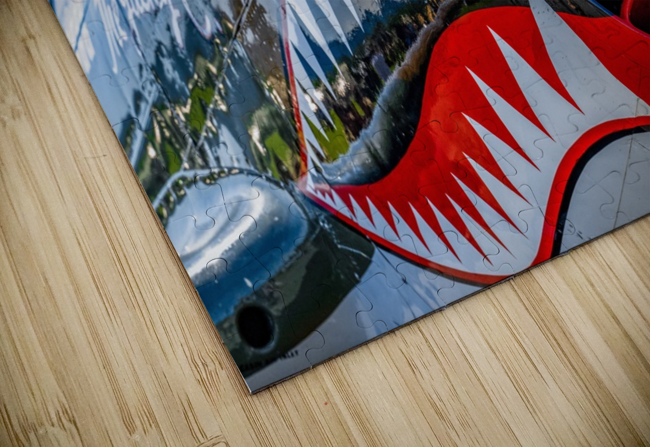 Curtiss P-40 Warhawk Nose Art Pisarek Photography Puzzle