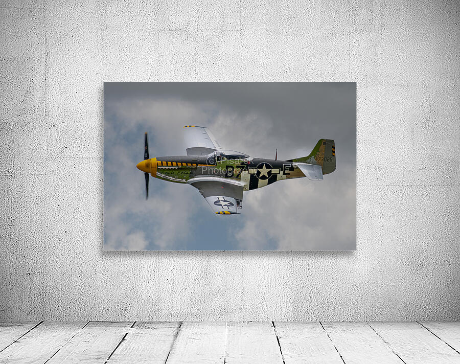 North American Aviation P-51D Mustang - Bald Eagle Wall Preview