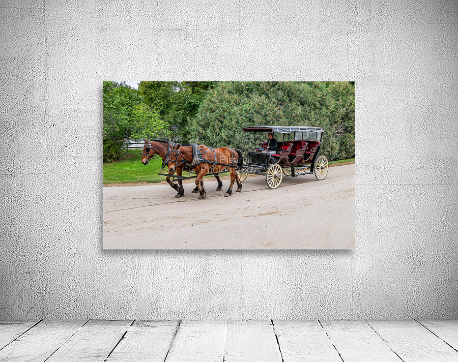 A Pair of Horses pulling a Carriage Wall Preview