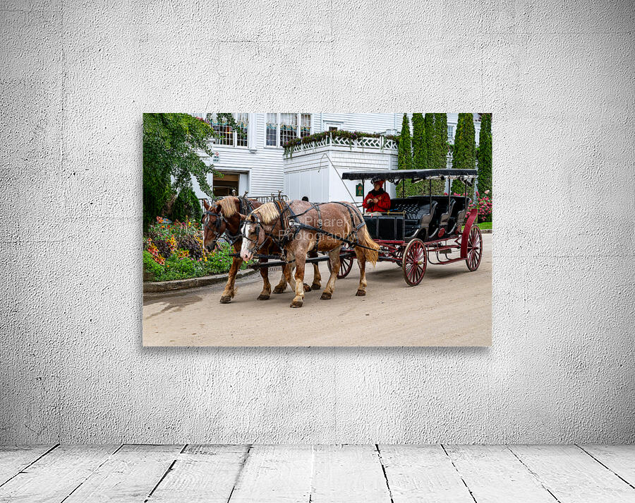 Horse and Carriage near The Grand Hotel Wall Preview