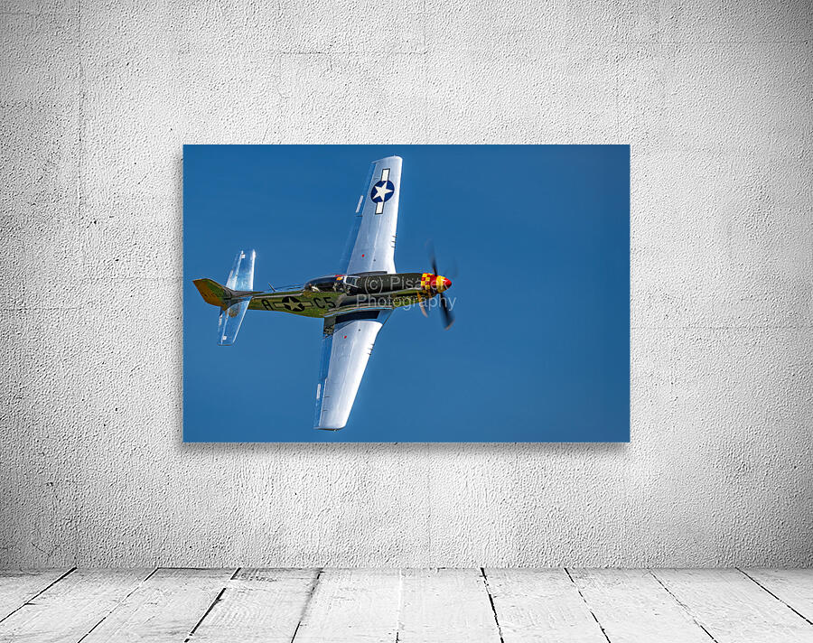 P-51D Mustang - Swamp Fox Wall Preview